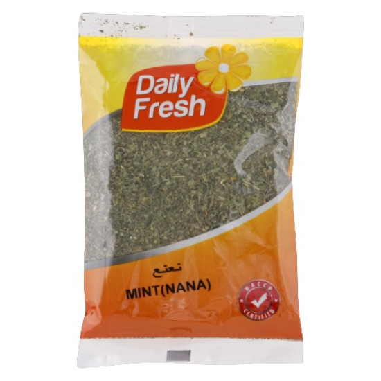 Daily Fresh Mint (Nana) 100g, Pack Of 24