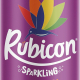 Rubicon Sparkling Fruit Juice Passion 330 ml, Pack Of 24