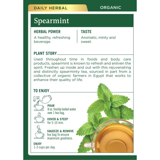 Order Tea Spearmint Traditional Medicinals