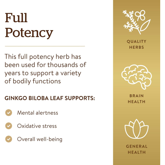 Solgar SPF Ginkgo Biloba Leaf Extract 180 Vegetable Capsules