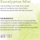 Aura Cacia Clearing Eucalyptus Mist 118 ml